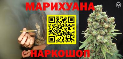 сатива Ноябрьск
