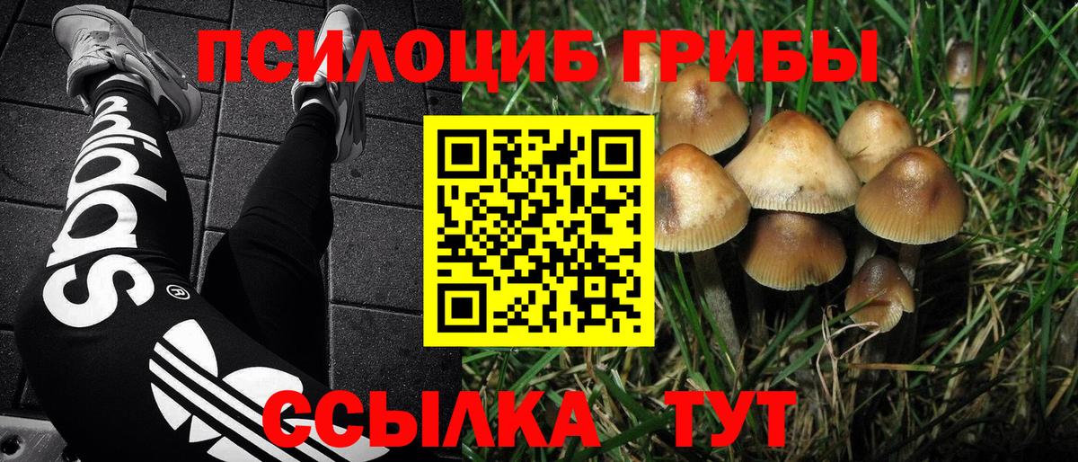 Псилоцибиновые грибы GOLDEN TEACHER  Вход с VPN  Галлюциногенные грибы прущие грибы  Архангельск 