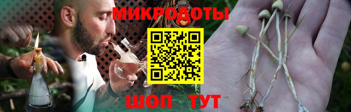 Галлюциногенные грибы Psilocybe Архангельск